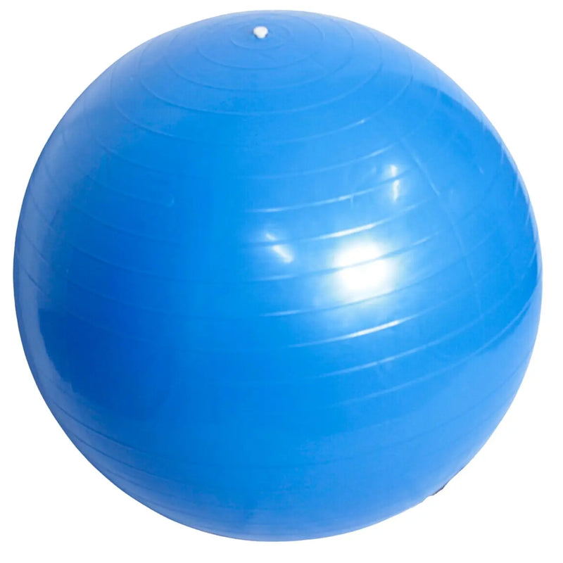 Explosion-proof Fitness Balls Thick Yoga Ball Exercise Home Gym Pilates Equipment Balance Ball