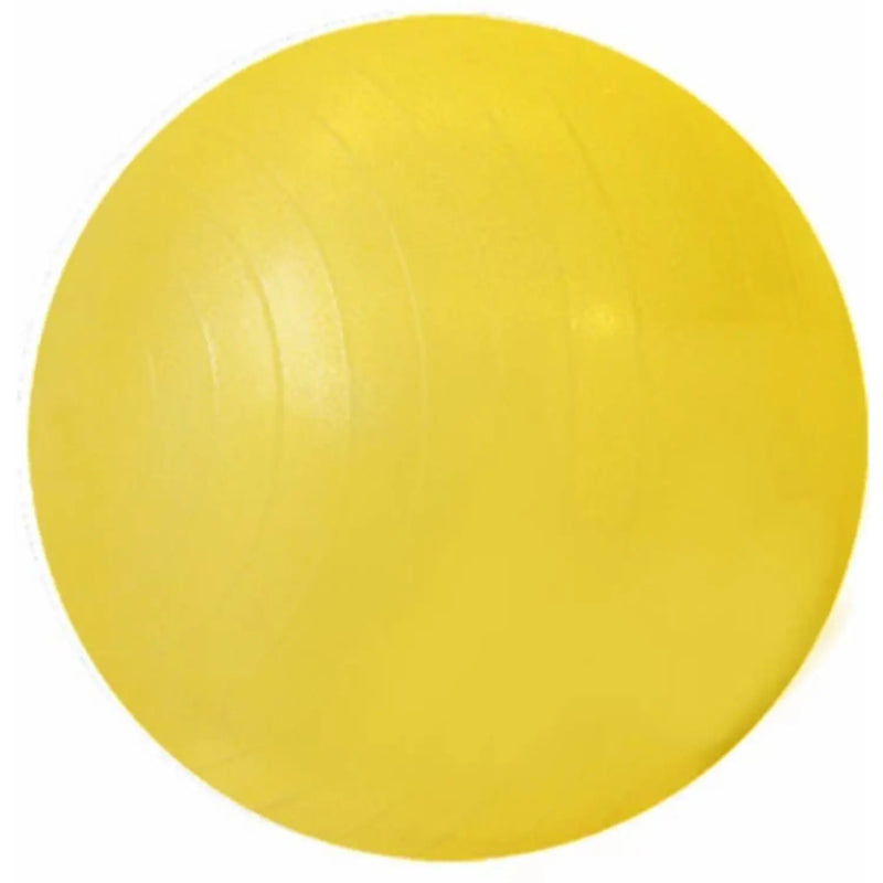 Explosion-proof Fitness Balls Thick Yoga Ball Exercise Home Gym Pilates Equipment Balance Ball